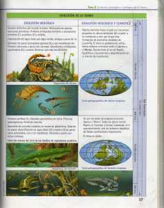 Lectura4 Evolucion de la Tierra